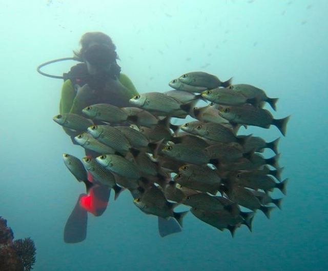 experiencia bajo el mar
